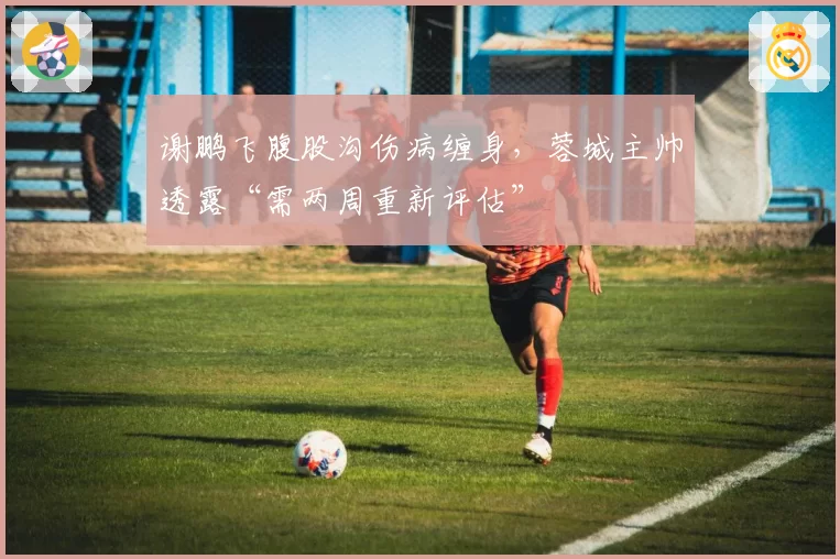 谢鹏飞腹股沟伤病缠身,蓉城主帅透露“需两周重新评估”