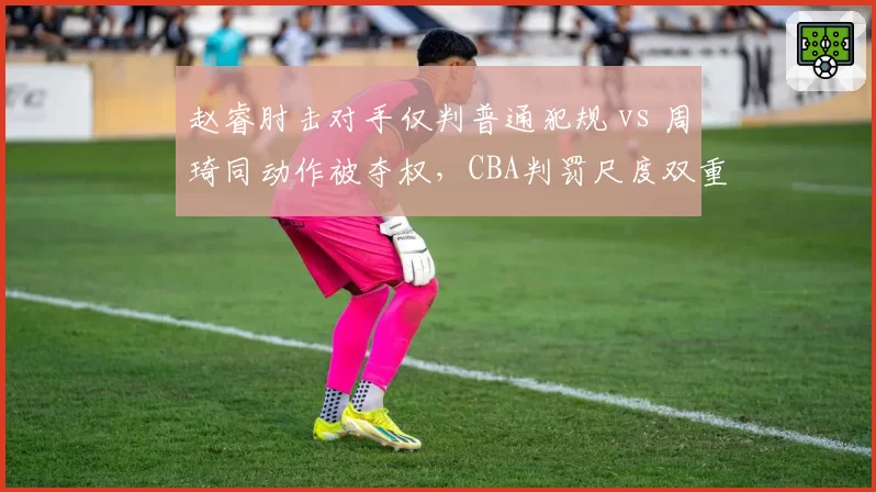 赵睿肘击对手仅判普通犯规 vs 周琦同动作被夺权,CBA判罚尺度双重标准引众怒