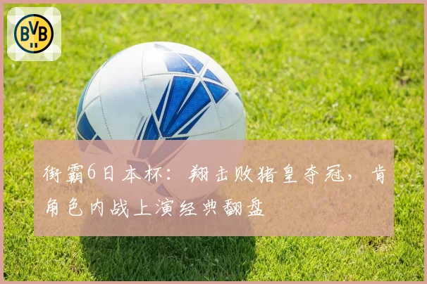 街霸6日本杯:翔击败猪皇夺冠,肯角色内战上演经典翻盘