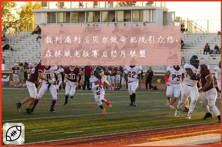 裁判漏判戈贝尔致命犯规引众怒,森林狼老板赛后怒斥联盟